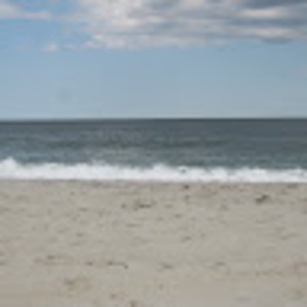 Meet your Posher, Esther